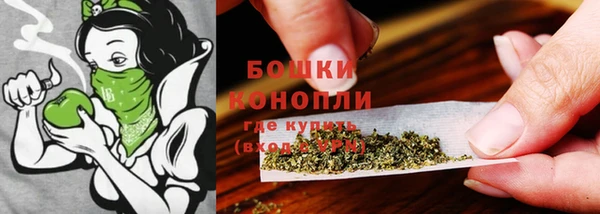 PSILOCYBIN Майский