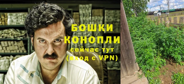 спайс Магас