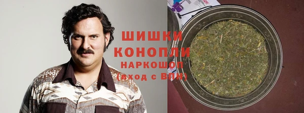 PSILOCYBIN Майский