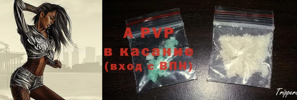PSILOCYBIN Майский