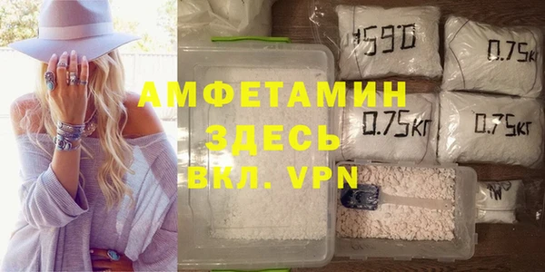 PSILOCYBIN Майский