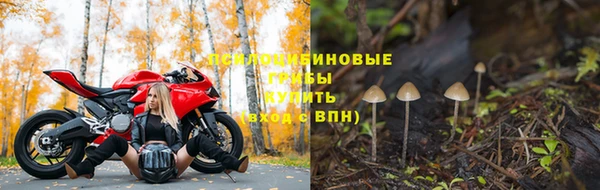 PSILOCYBIN Майский