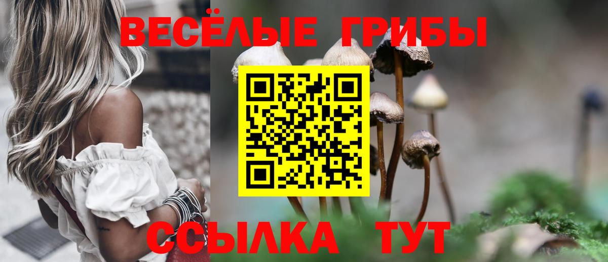 купить закладку  Псилоцибиновые грибы MAGIC MUSHROOMS  Вход с VPN  Псилоцибиновые грибы ЛСД  Чебаркуль 